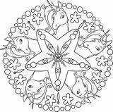Einhorn Mandala Mandalas Ausmalbilder sketch template