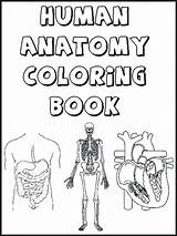 Coloring Human Body Pages Organs Printable Skeleton Color Print Getcolorings sketch template