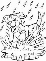 Kleurplaat Kleurplaten Honden Hond Gert Samson Leuke Voor Kinderen Bron Tekenen sketch template
