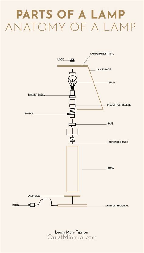 parts   lamp diagram anatomy