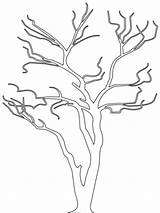 Tree Outline Coloring Bare Drawing Pages Dead Colouring Big Trees Printable Template Kids Leaves Sheets Color Simple Vector Clipart Sheet sketch template