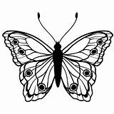 Vlinders Vlinder Kleurplaat Butterfly Kleurplaten Farfalla Tekening Tekenen Volwassenen Leukvoorkids Leuk Patroon Mooie sketch template