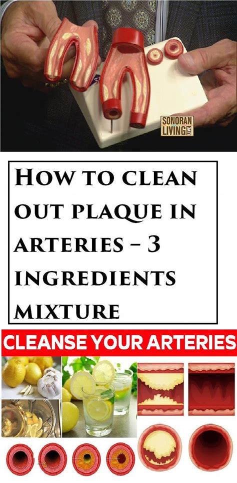 clean  plaque  arteries  ingredients mixture