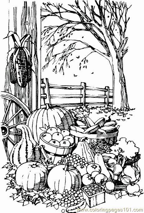 fall coloring pages adults  fall coloring pages printable fall