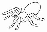 Spiders Printablee sketch template