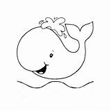Baleia Whale Desenho Coloringcity Baleias Em Atividades Myrl Escolha sketch template