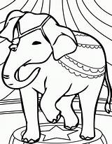 Elephant Colouring sketch template