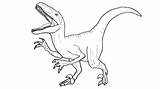 Velociraptor Jurassic Raptor Indoraptor Dinosaure Colorier Coloringhome sketch template