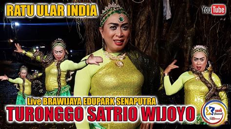 Penari Ular Import India Gitty Srinita Turonggo Satrio Wijoyo