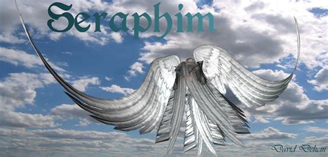 seraphim seraphin  squalllion  deviantart