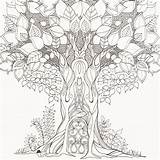 Coloring Forest Pages Adult Enchanted Book Printable Colouring Trees Drawing Basford Adults Tree Redwood Whimsical Johanna Getdrawings Getcolorings Background Clipart sketch template