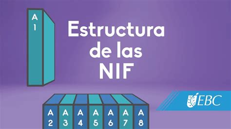 Estructura De Las Nif Youtube