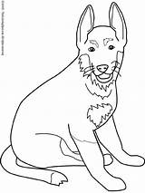 Coloring German Shepherd Pages Dog Dogs Color Boston Terrier Printable Collie Shepard Pinscher Doberman Kids Realistic Puppies Drawing Baby Puppy sketch template