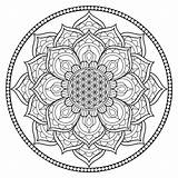 Coloring Flower Life Mandala Color 1500 Stresses Relieve Daily Beautiful Designs Pdf sketch template