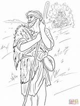 Amos Prophet Coloring Pages Supercoloring Printable Bible Prophets Color Drawing sketch template