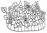 Flowerbed sketch template