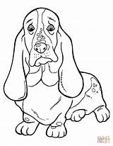 Coloring Pages Hound Basset Dachshund Silhouettes Printable Bassett Cute sketch template