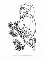 Coloring Owl Pages Christmas Printable Kids Popular sketch template