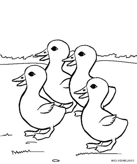 coloring pages  ducks