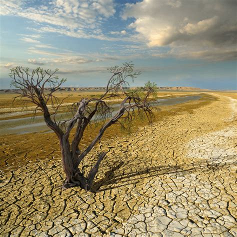 climate change  affecting  life  earth