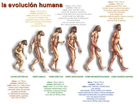 Pin De Lourdes Roldán En El Origen Del Ser Humano Evolución Humana