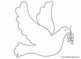 Dove Coloring Pages Peace Color Printable Doves Kids Colomba Getdrawings Bird Da Colorare Choose Board sketch template