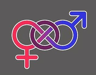 gender arnold zwickys blog