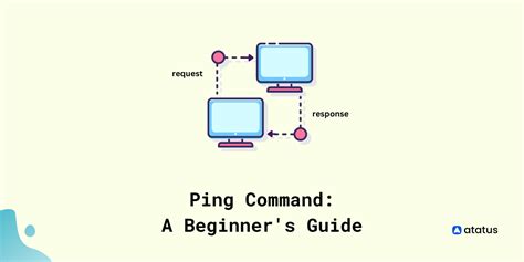 ping command  beginners guide
