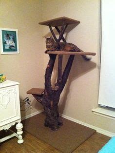 making cat furniture  logs  branches google