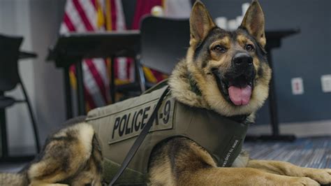 Pflugerville Police K9 Units Receive Donated Body Armor