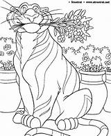 Tigre Colorear Aladino Colorea Enamorados Rajah Tigres Aladdin Cibercuentos Bordar Bengala Siete Pinta sketch template