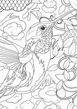 Pages Coloring Animal Complicated Complex Getcolorings Printable Getdrawings sketch template