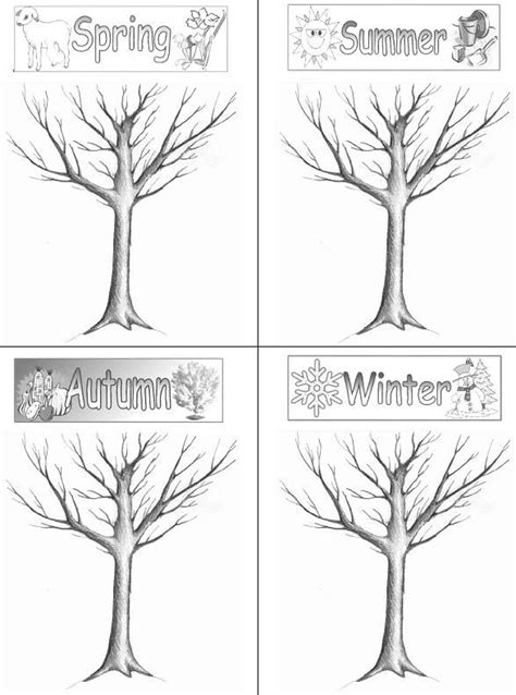 images  seasons tree worksheet  seasons tree coloring
