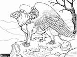 Coloring Pages Griffin Creatures Lineart Dragon Mythical Mythological Rider Colouring Adults Printable Kids Griffon Clipart Color Sketch Fantasy Animals Adult sketch template