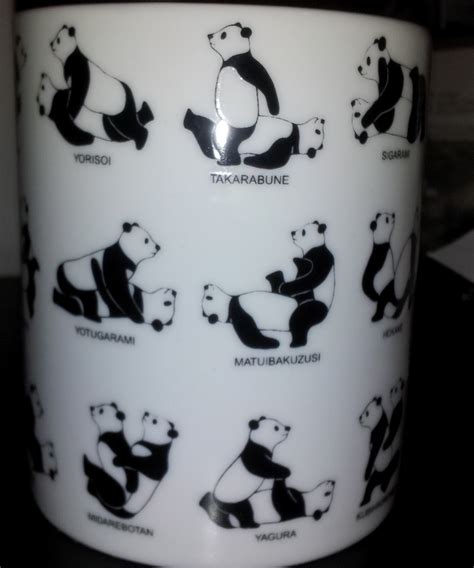 Auckland City Cute Panda Kamasutra Cup D