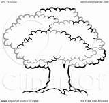 Tree Canopy Lush Outlined Mature Illustration Vector Clip Royalty Perera Lal Clipart sketch template