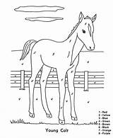 Color Number Coloring Horse Pages Kids Numbers Printable Colt Young Easy Christmas Printables Colour Activity 1st Farm Graders Barnyard Sheets sketch template
