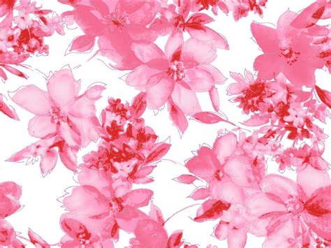flower pink wallpapers wallpaper cave