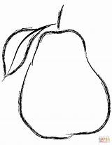 Coloring Pear Pears Pages Printable Drawing sketch template