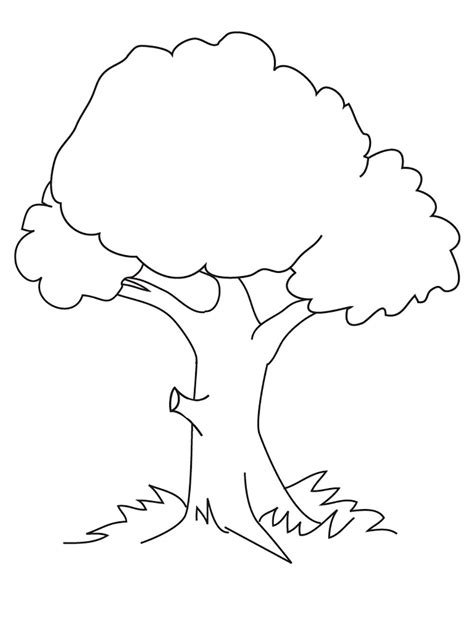 shade trees coloring pages  kids  printable trees coloring
