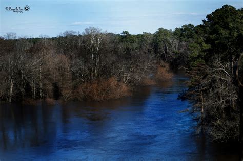 cliffs   neuse state park  north carolina state park located