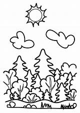 Forest Coloring Drawing Pages Kids Color Print Preschool Choose Board sketch template