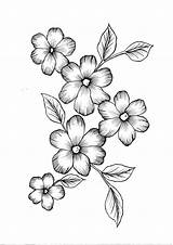 Flowers Flower Drawing Drawings Coloring Pdf Easy Pencil Wild Color Etsy Sketches Pattern Draw Sold Beautiful Time sketch template