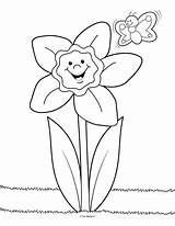 Daffodil Coloring Pages Daffodils Color Flower Preschool Sheets Colouring Drawing Spring Mailbox Parts Pencil Plant Kids Crafts Printable Little Getdrawings sketch template