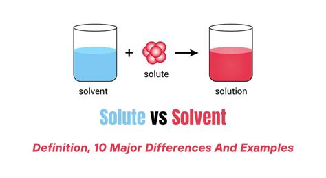 solute  solvent definition  major differences  examples