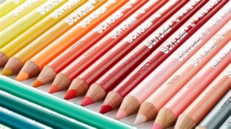 school pencil crayons   reg