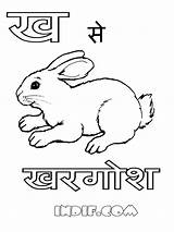 Coloring Hindi Twinkle Alphabets Indif Rabbits Raindrops sketch template