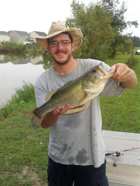 The Biggest Largemouth Bass I Ve Ever Caught And Released Pics