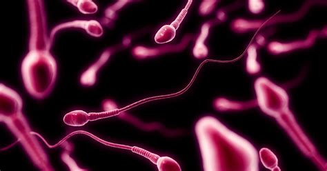 Six Facts About Semen They Didn T Tell You In Sex Education Mirror Online