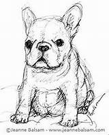 French Bulldog Pages Coloring Dog Digi Stamps Cute Print Part Sketch Dogs Color sketch template
